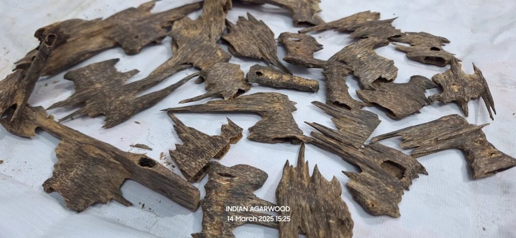 Indian Agarwood Taraat Double Supper